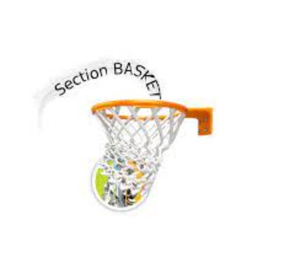 Section basket.jpg