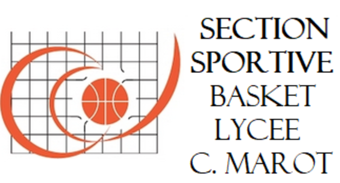 section basket 4.png