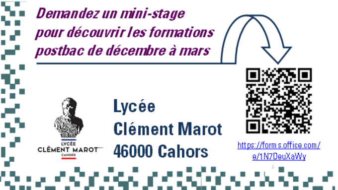 demande mini-stage.png